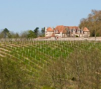 Château Le Grand Verdus - Sadirac