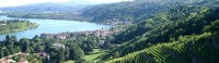 Domaine Mathilde et Yves Gangloff - Condrieu