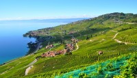 Domaine Dubois Fils - Epesses