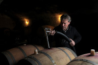 Domaine Fabrice Gasnier