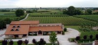 Azienda Agricola Giorgio Cecchetto - Terre di Piave